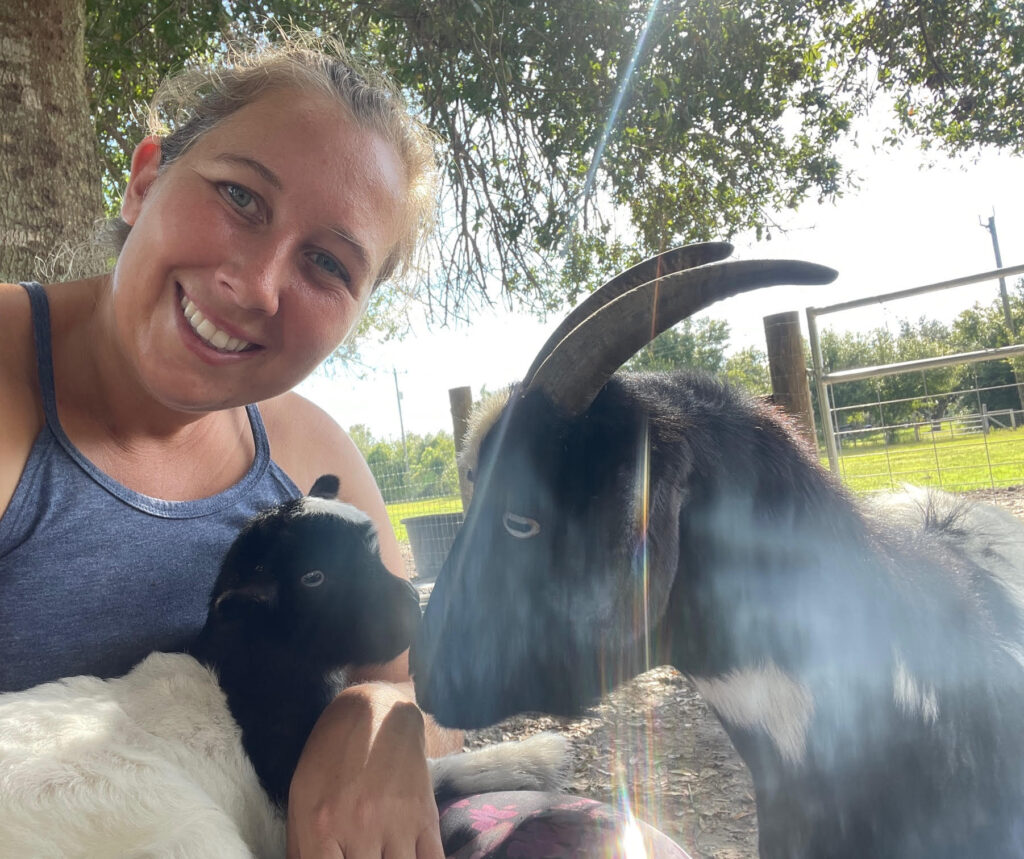 Baby goats!